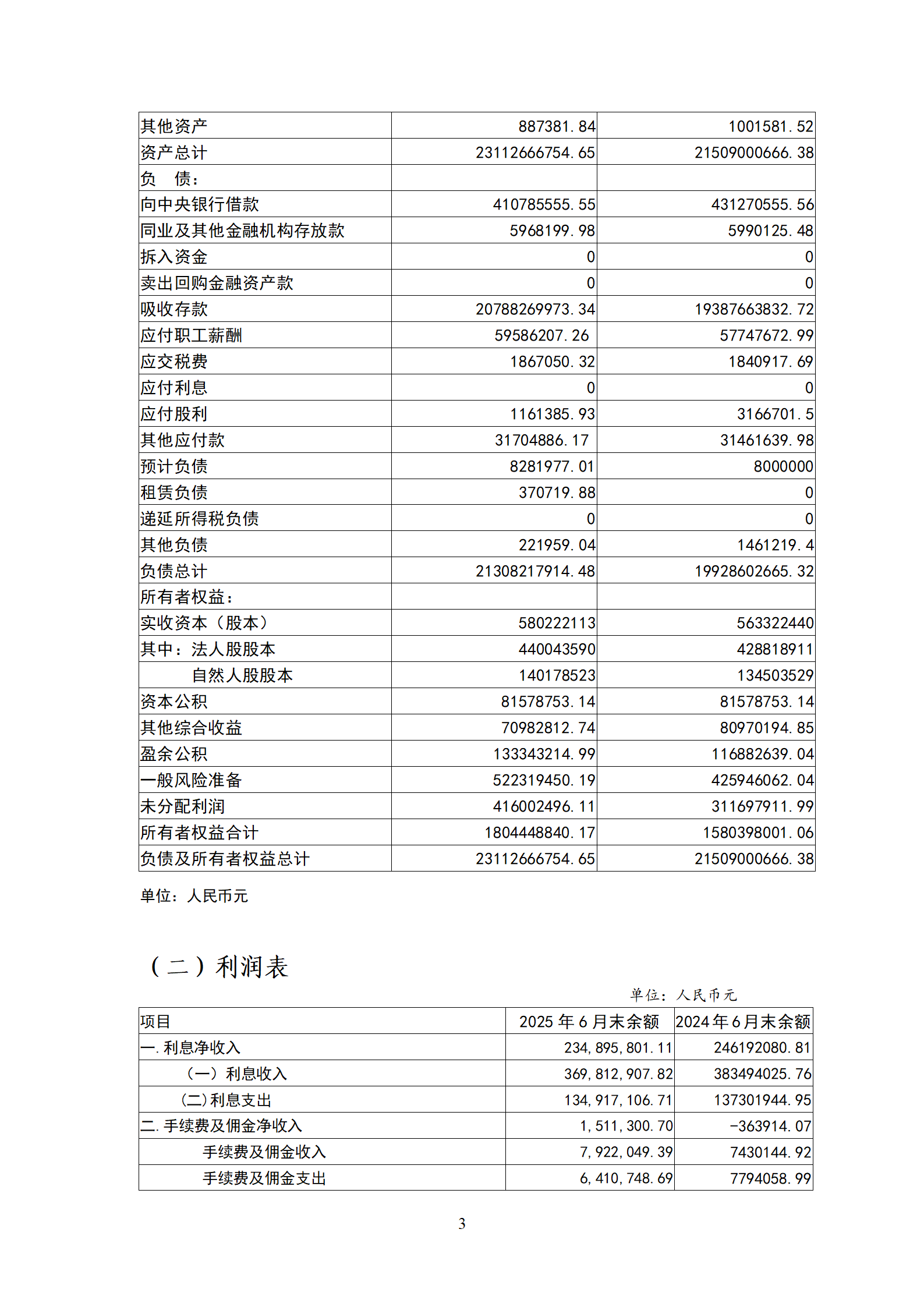 2025年半年度报告_03