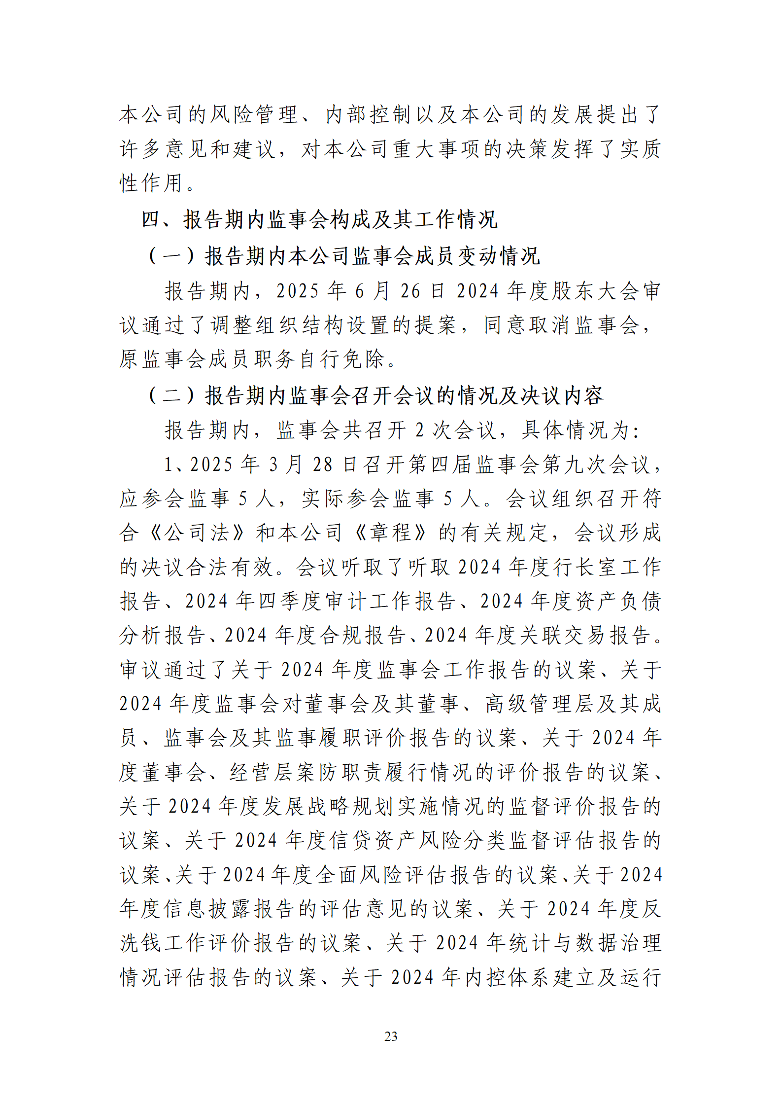 2025年半年度报告_23