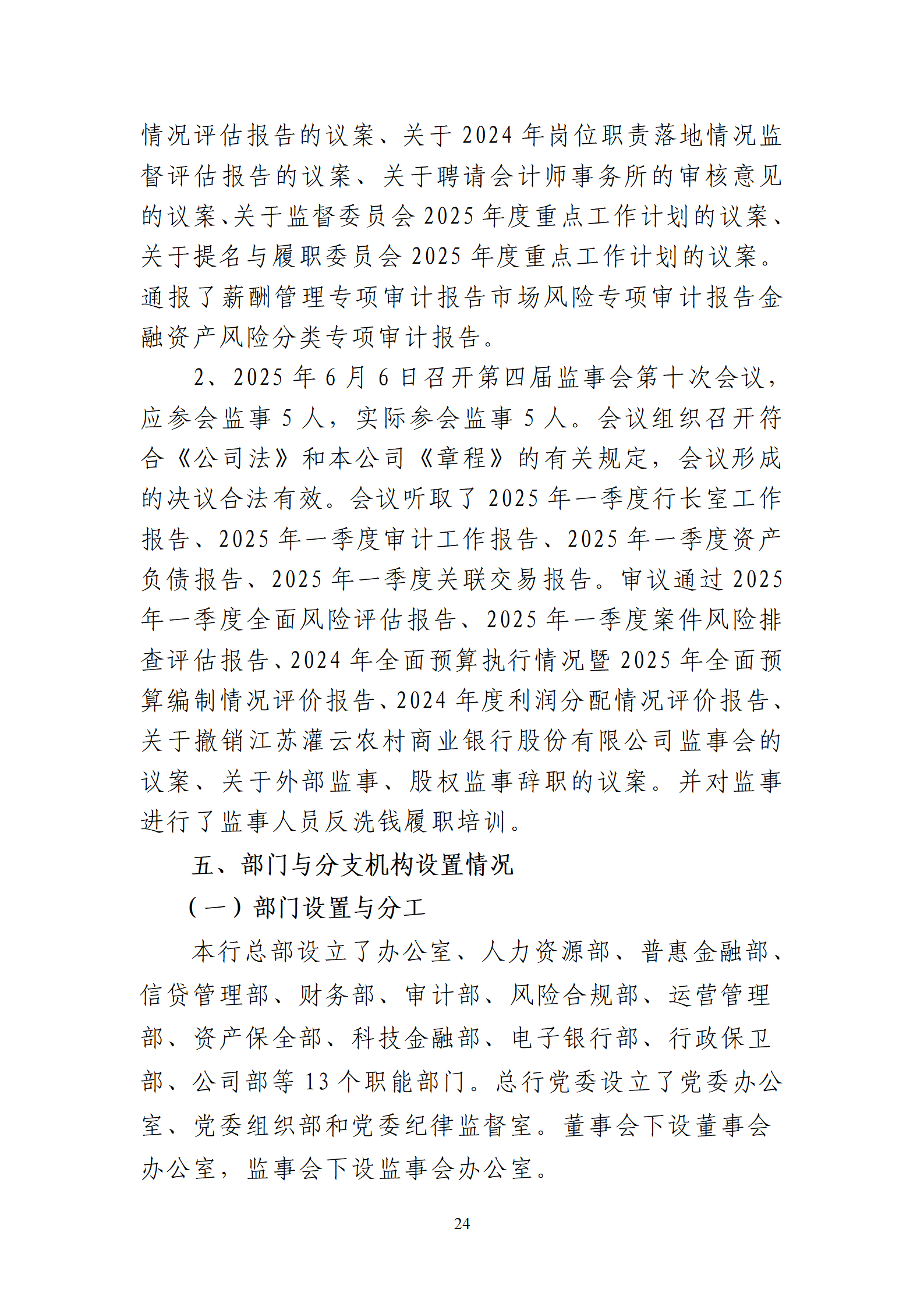 2025年半年度报告_24