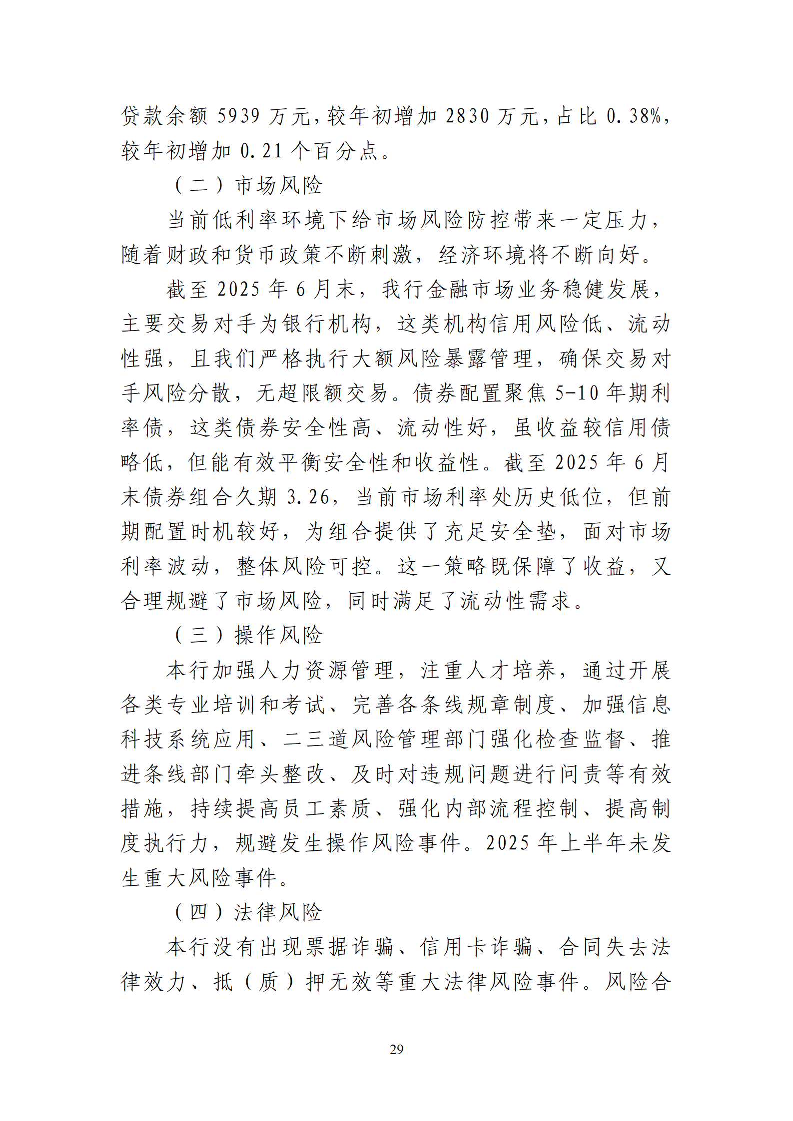 2025年半年度报告_29
