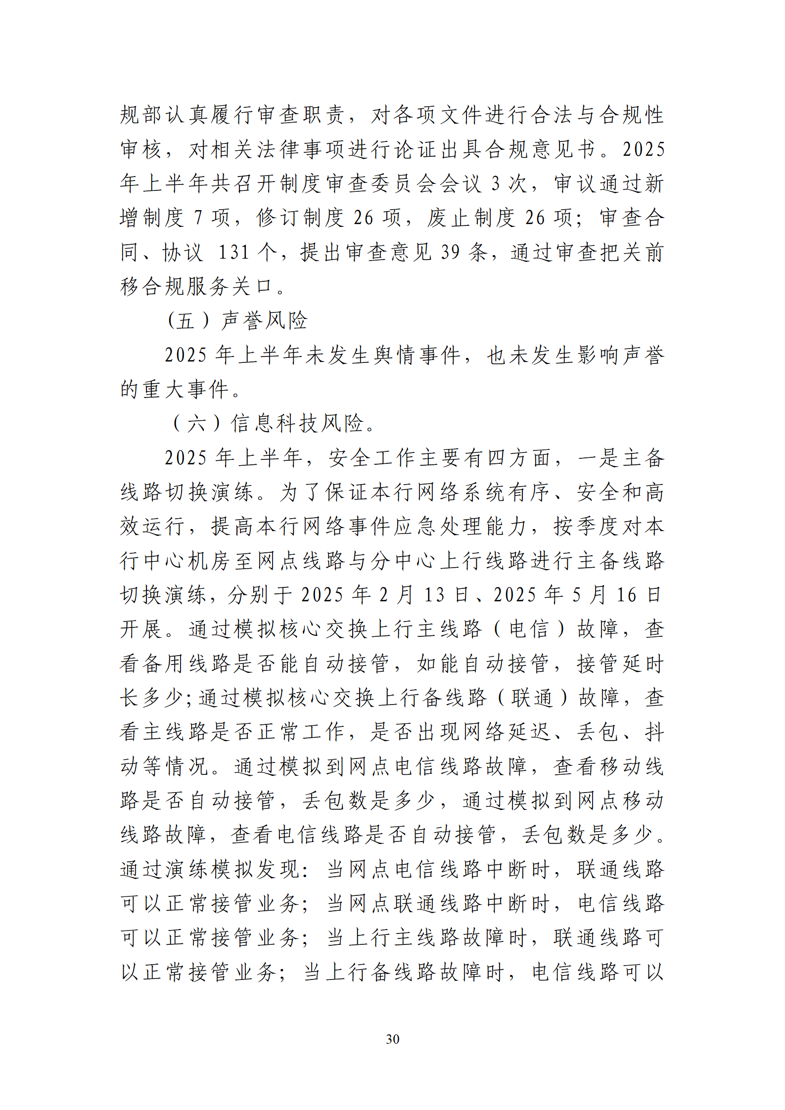 2025年半年度报告_30