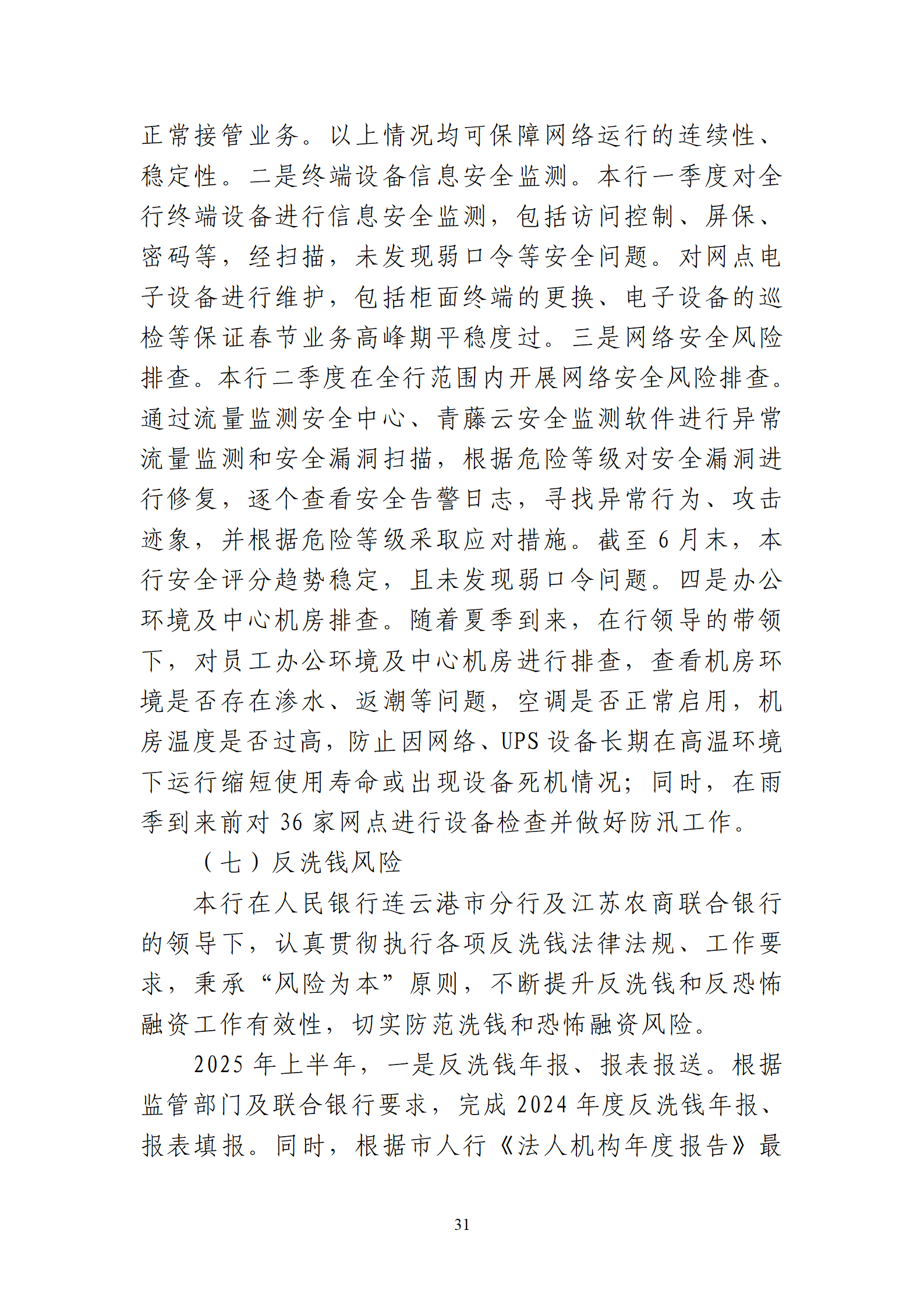 2025年半年度报告_31